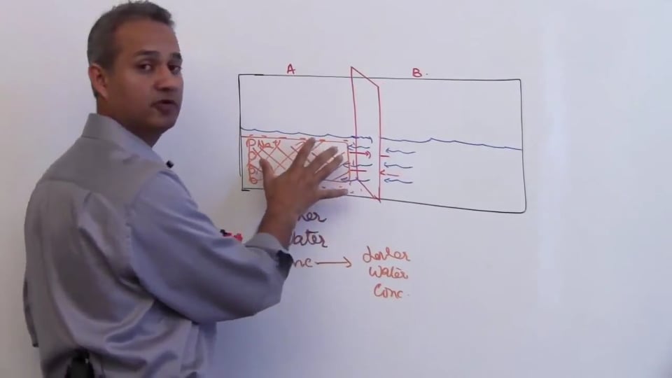 Fourth Session-Renal Physiology: (part 1)