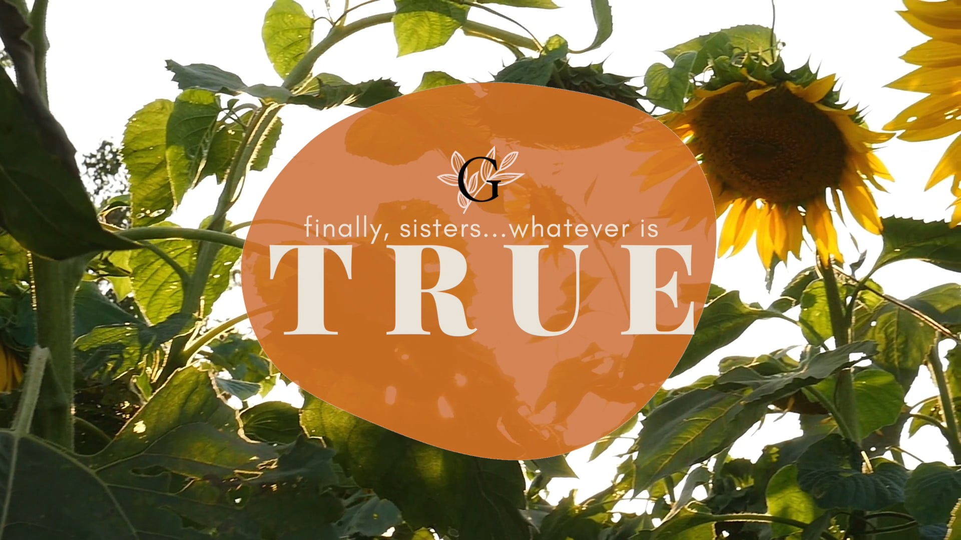 True Conference Promo Video