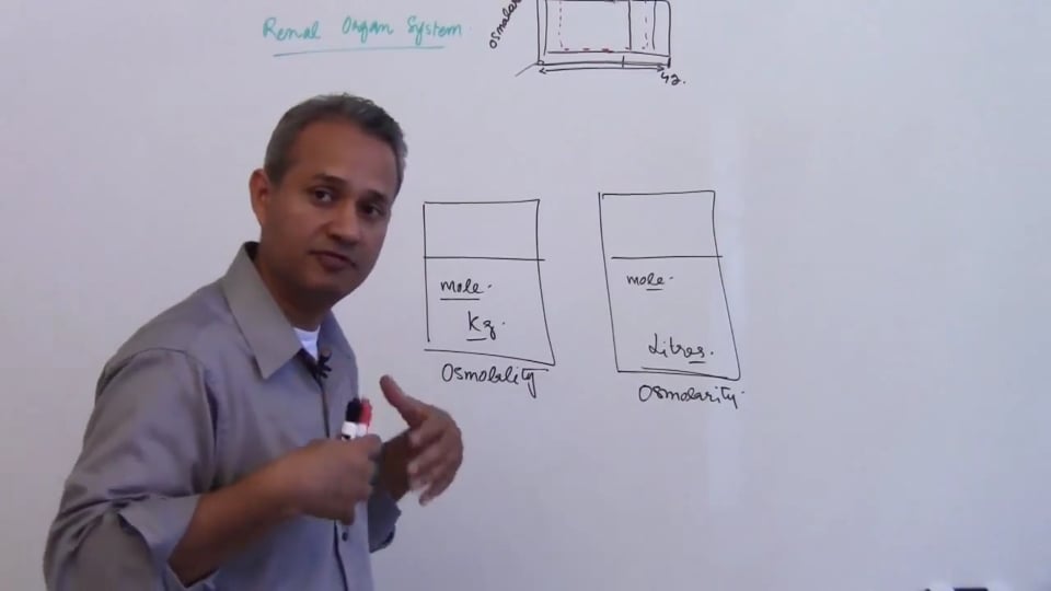 Fourth Session-Renal Physiology: (part 4)