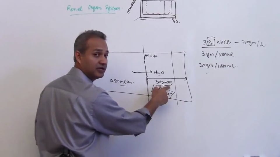 Fourth Session-Renal Physiology: (part 5)