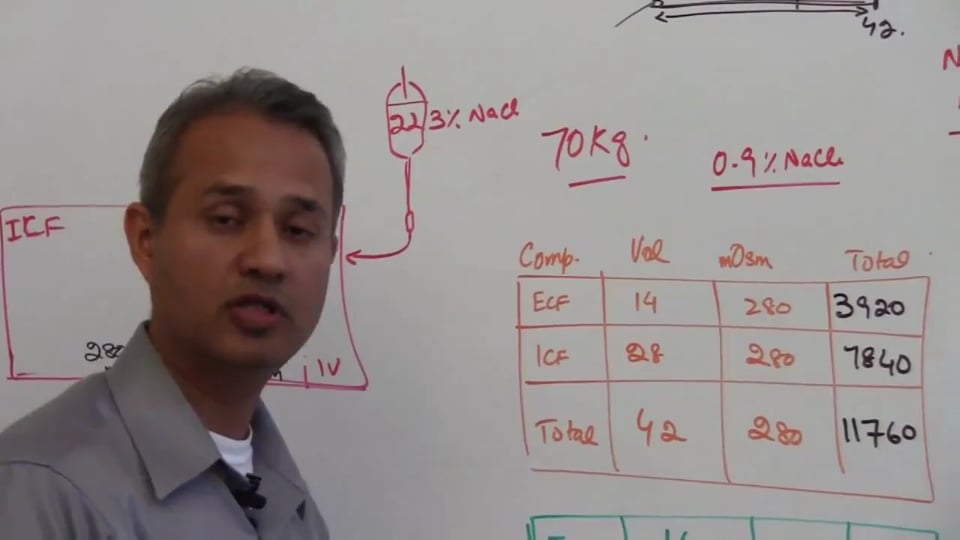 Fifth Session-Renal Physiology: (part 1)