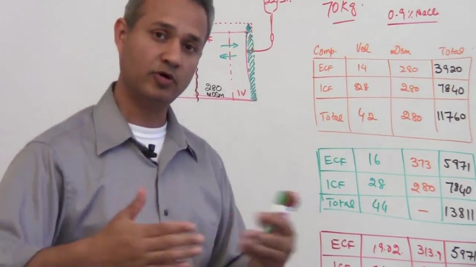 Fifth Session-Renal Physiology: (part 2)