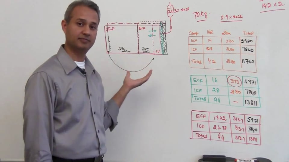 Fifth Session-Renal Physiology: (part 3)