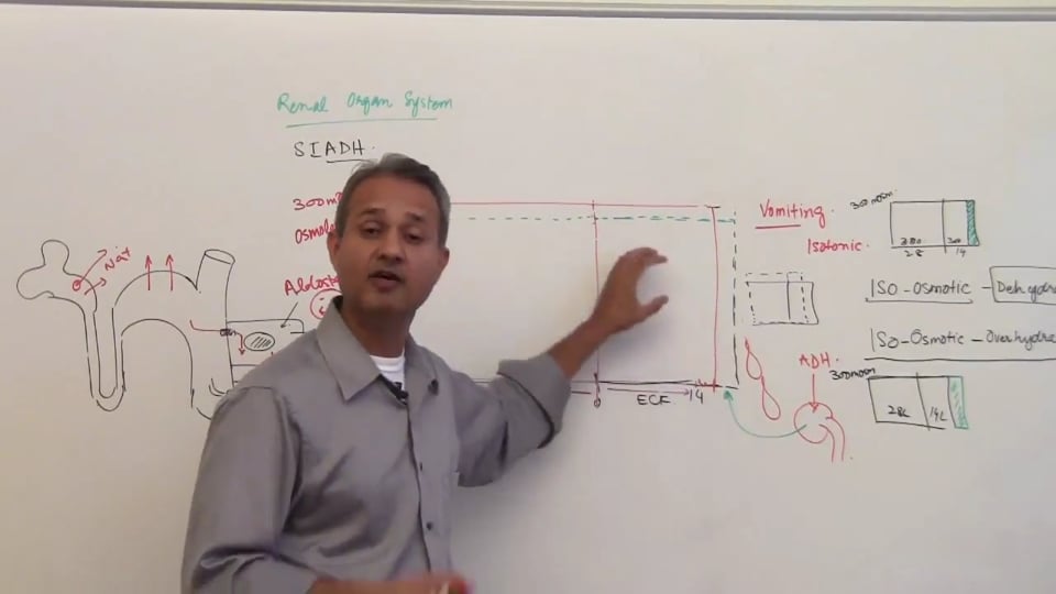 Sixth Session-Renal Physiology