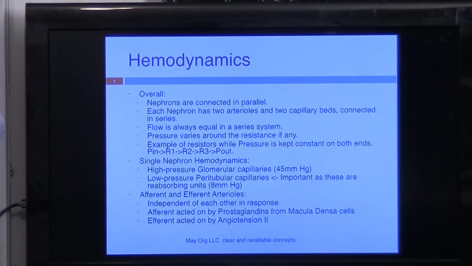 Second Session Renal System Fundamentals: (part 1)