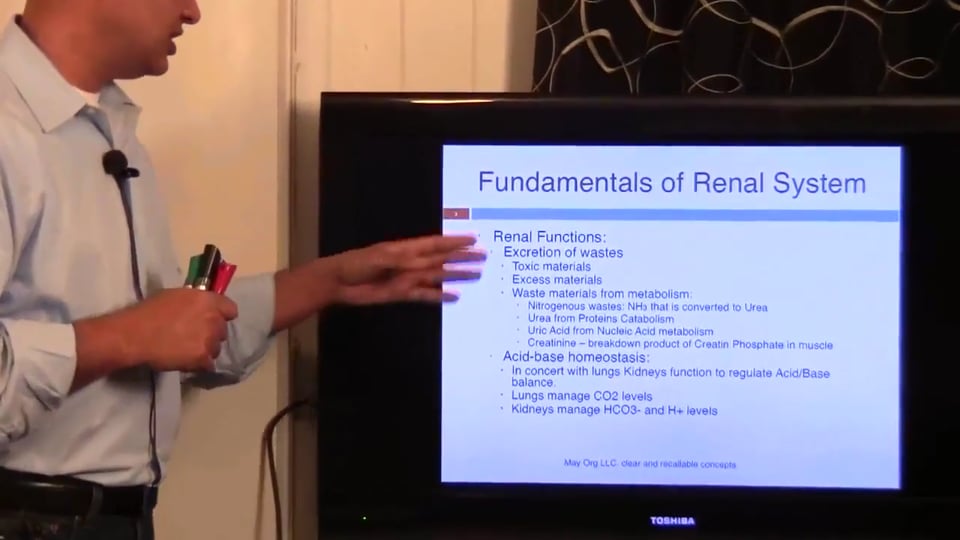 Third Session Renal System Fundamentals: (part 1)