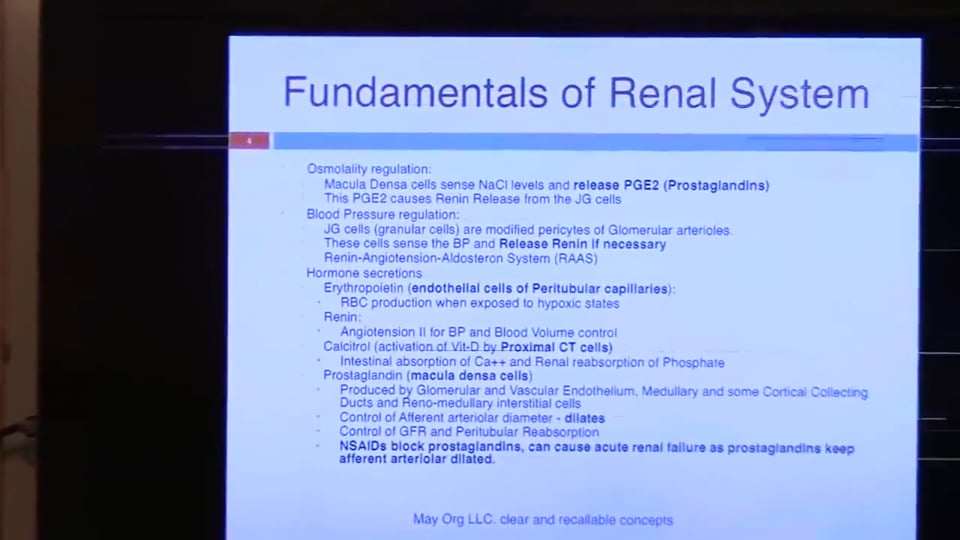 Third Session Renal System Fundamentals: (part 2)