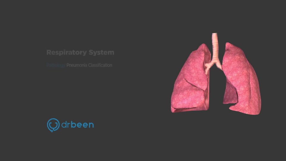 Pneumonia Classifications