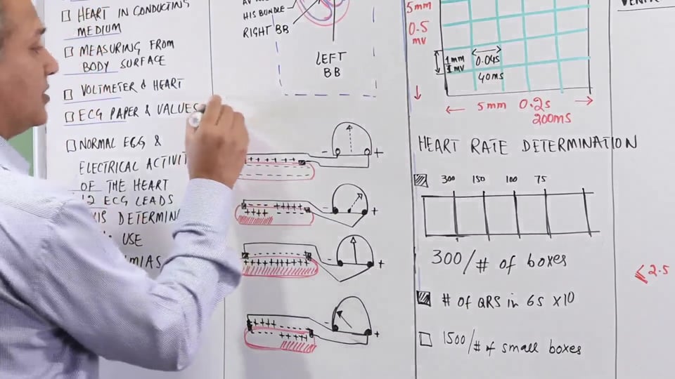 EKG Fundamentals: Measurement (Part 1)