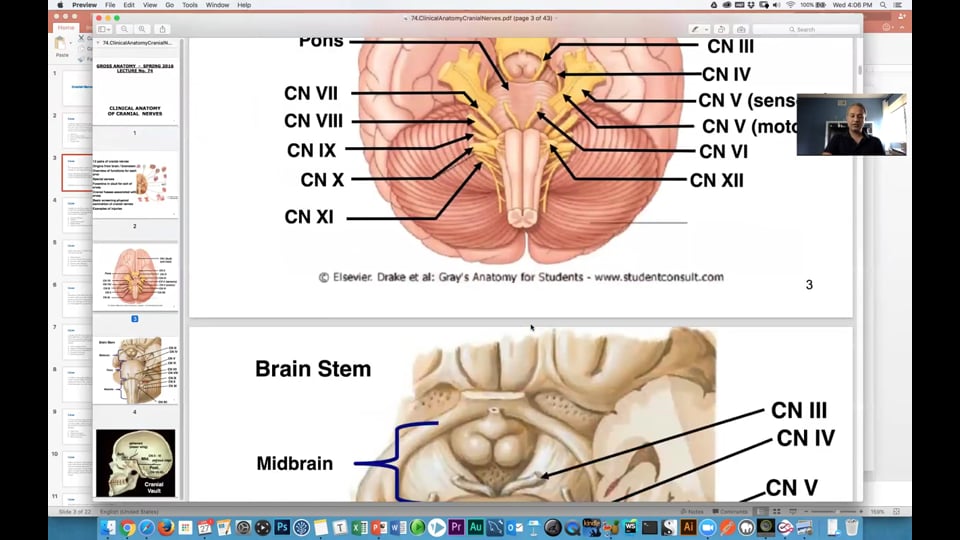 Cranial Nerves (Clinical Cases)