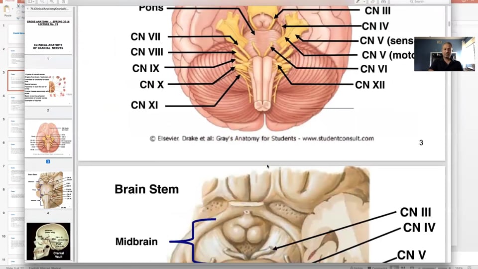 Cranial Nerves (Clinical Cases)