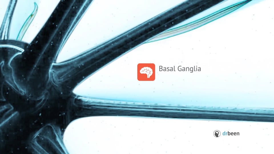 Basal Ganglia