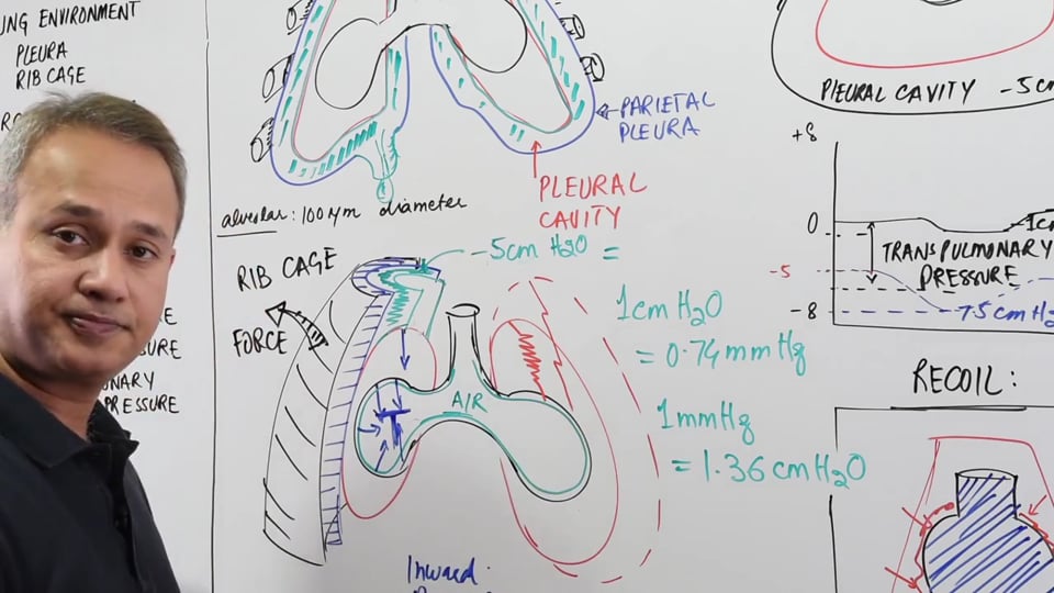 Forces on the Lung System Review