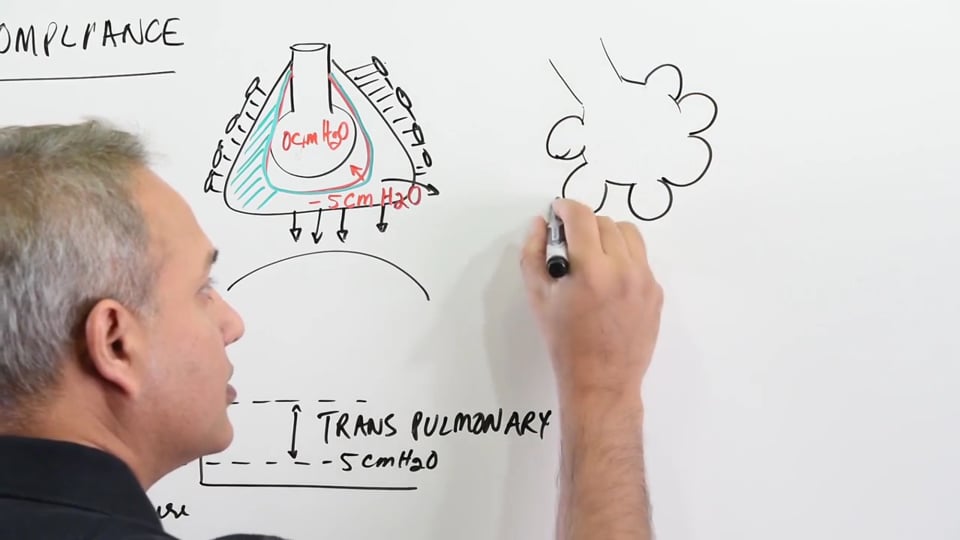 Lung Compliance