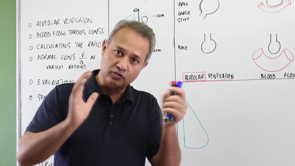 Ventilation Perfusion Ratio (V/Q)