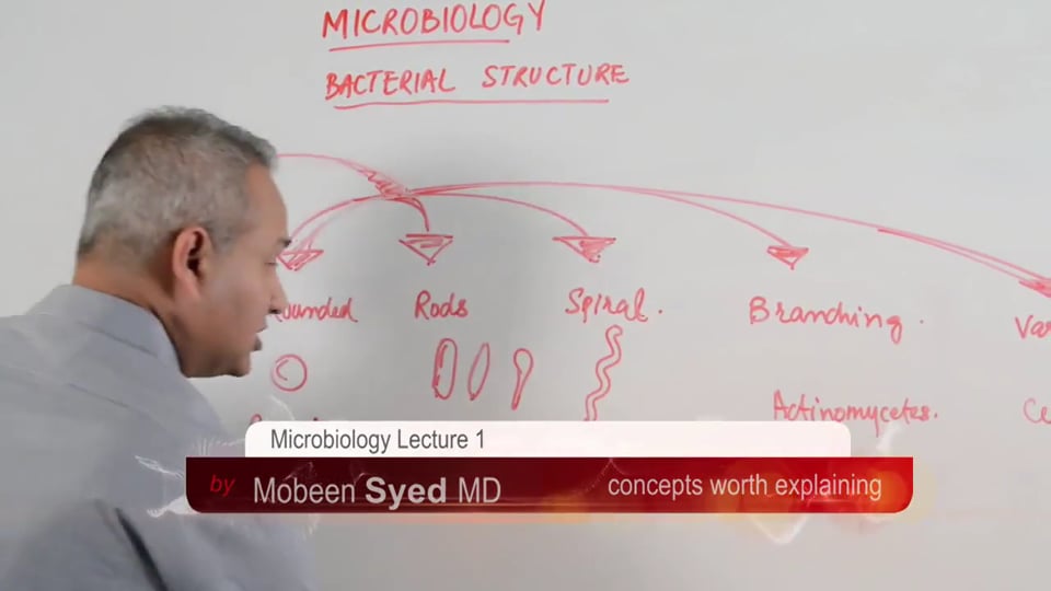 Bacterial Nomenclature