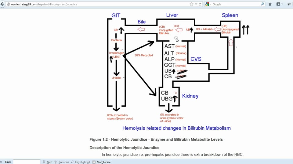 Clinical Jaundice (Part 3)