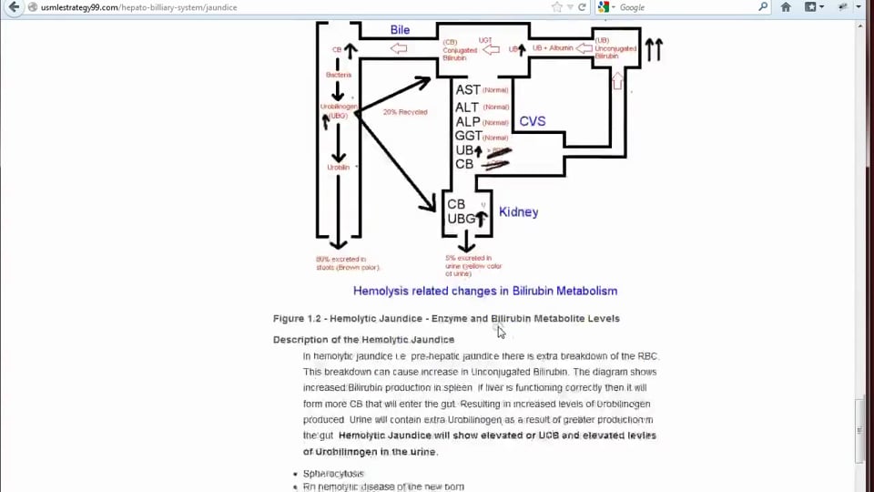 Clinical Jaundice (Part 4)