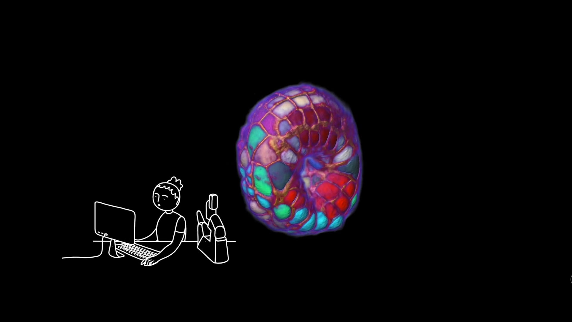 Cries or whispers between cells