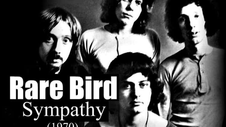 RARE BIRD - Sympathy