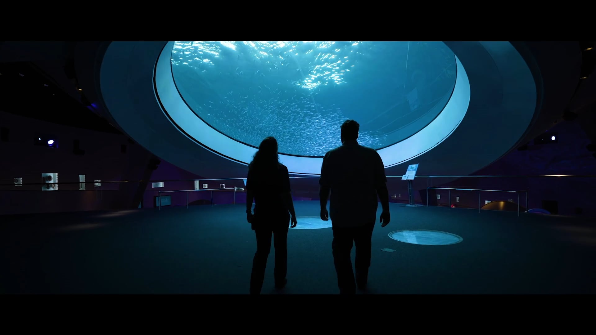 CSP Media Group - Documentary Reel