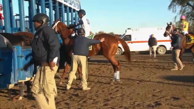 Vekoma 2018 Nashua Stakes G3 | Aqueduct