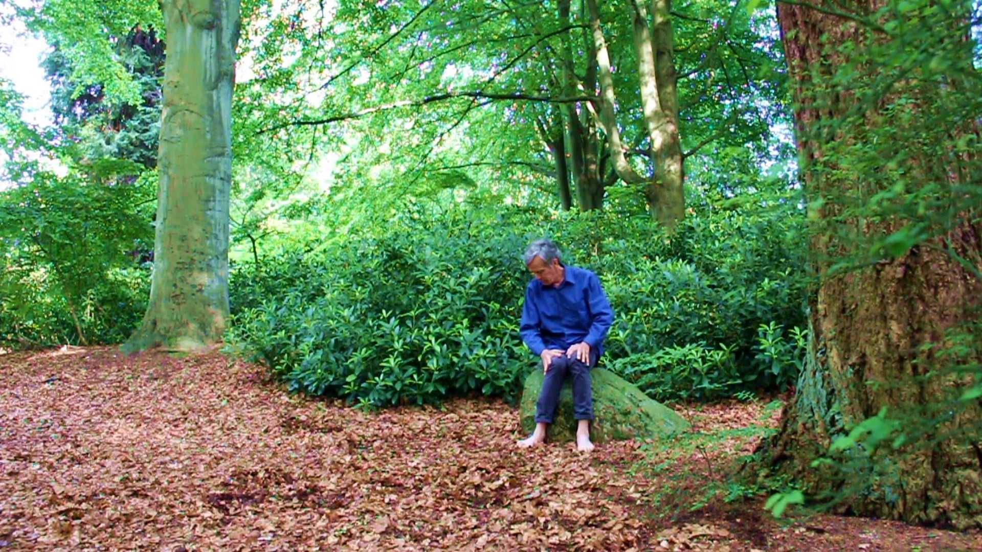 Trailer for "Where is Home?"