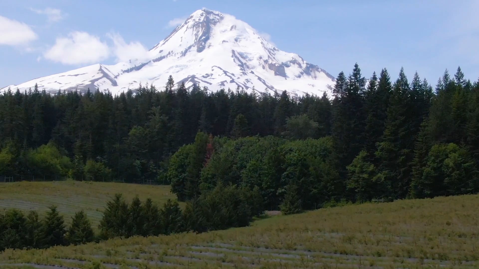 FOR SALE GREEN RIDGE FARMS on Vimeo