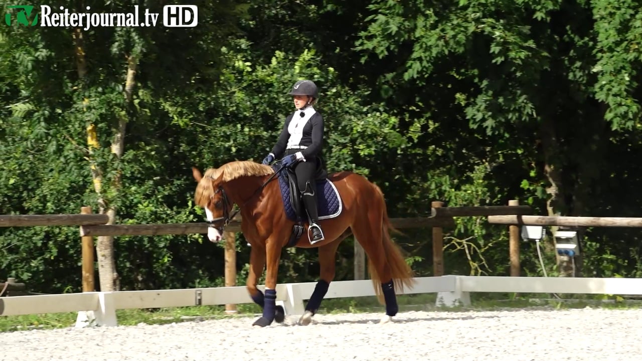 Richtig Reiten mit Michele Schulmerig - Ausbildung von jungen Dressurponys
