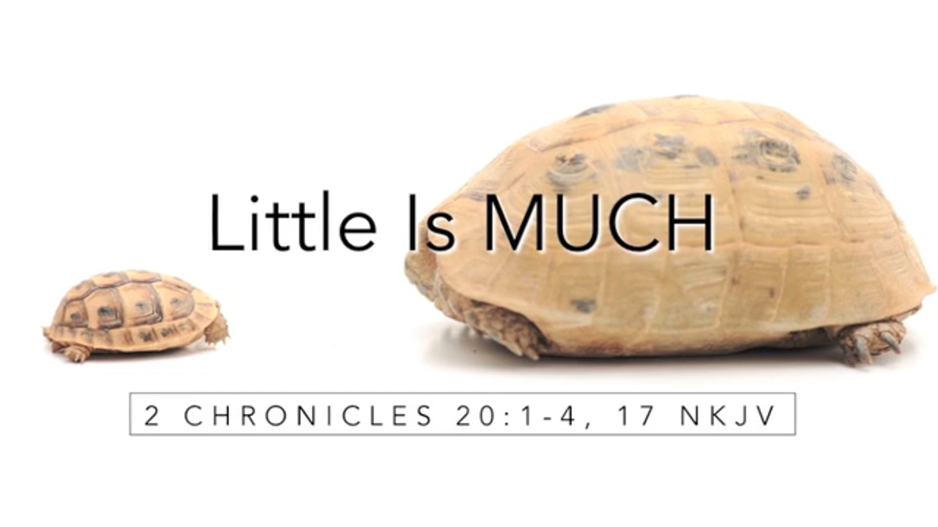 Sunday July 19, 2020