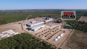 Nut Up – Roche Brothers