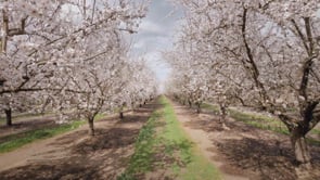 Roche Brothers, Inc - Customer Success Story