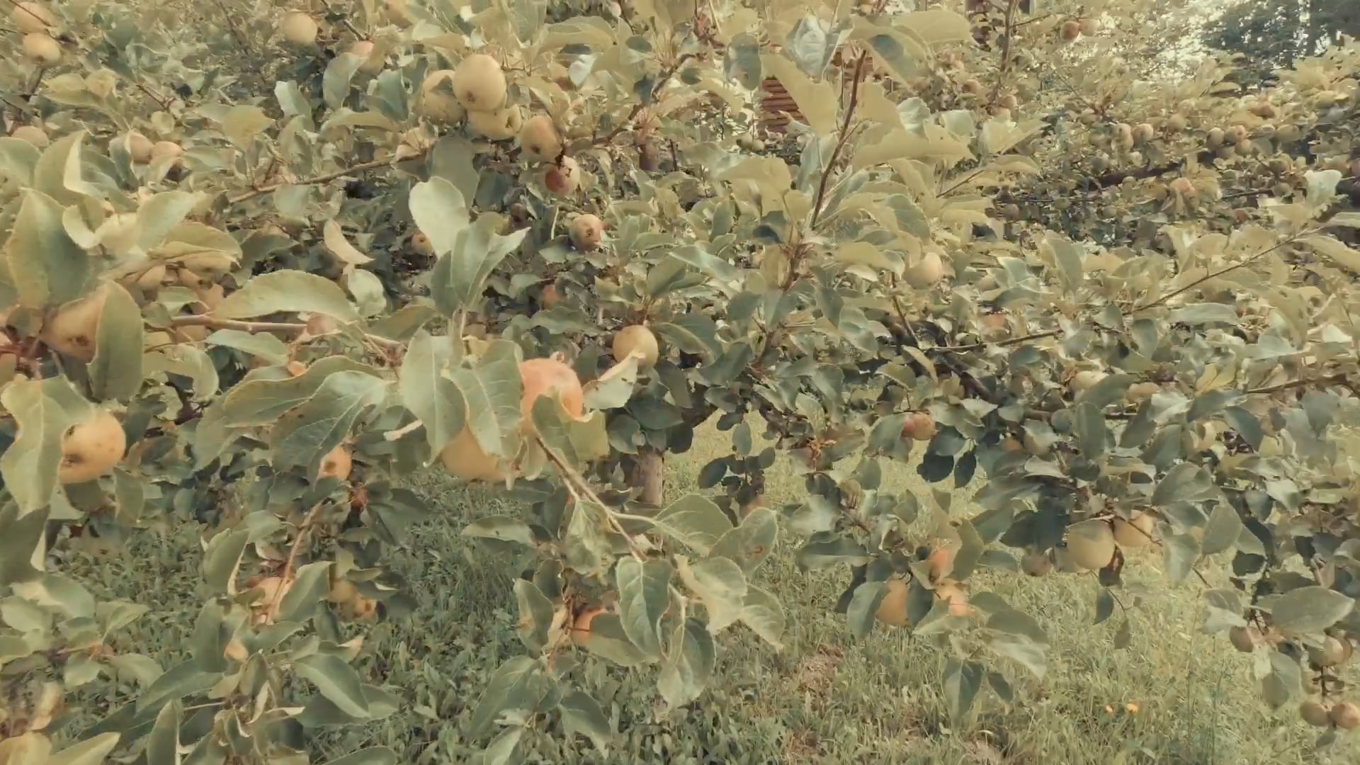 Österreich 2020 - Tag 4