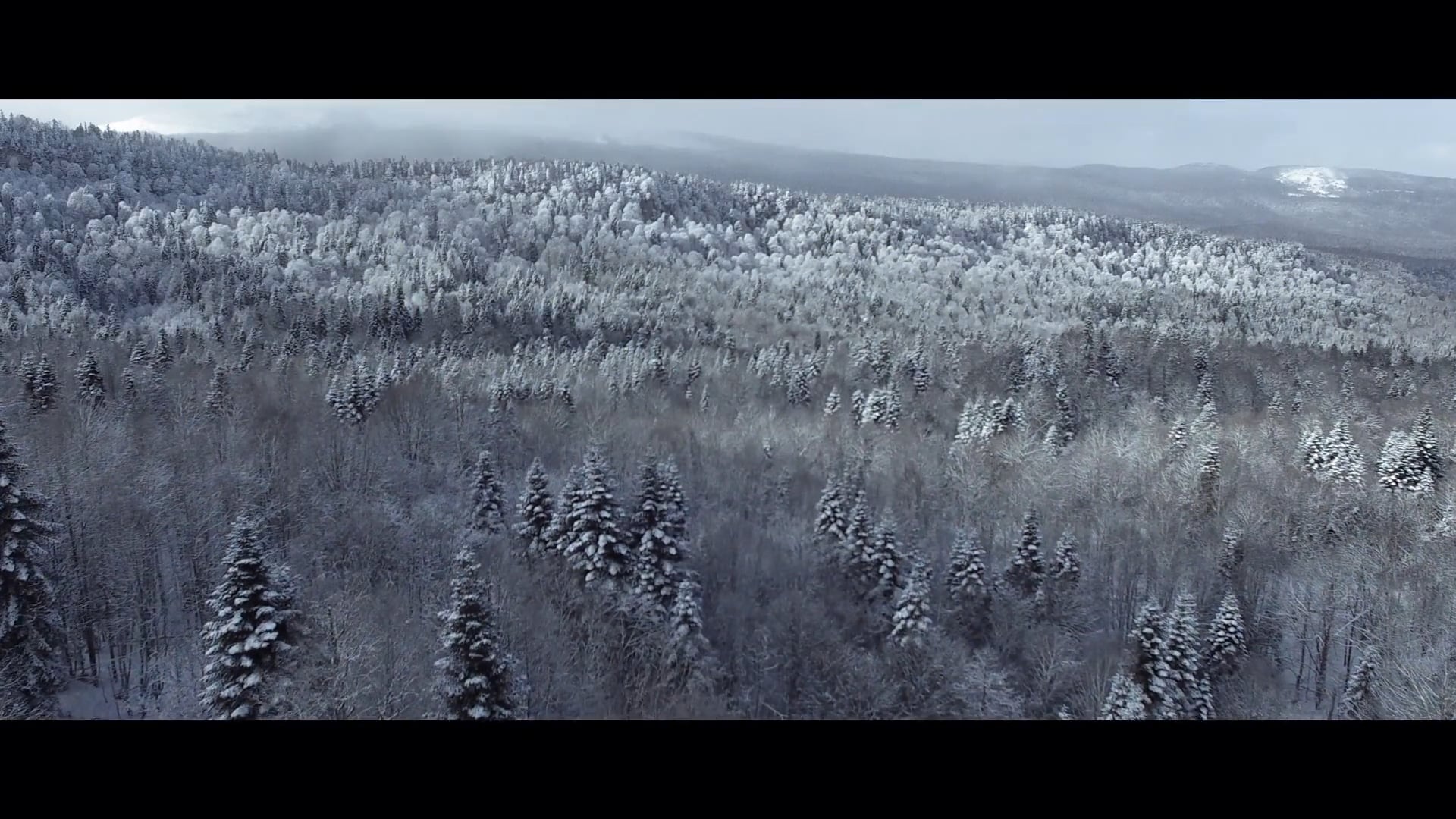 SNOWBOUND trailer