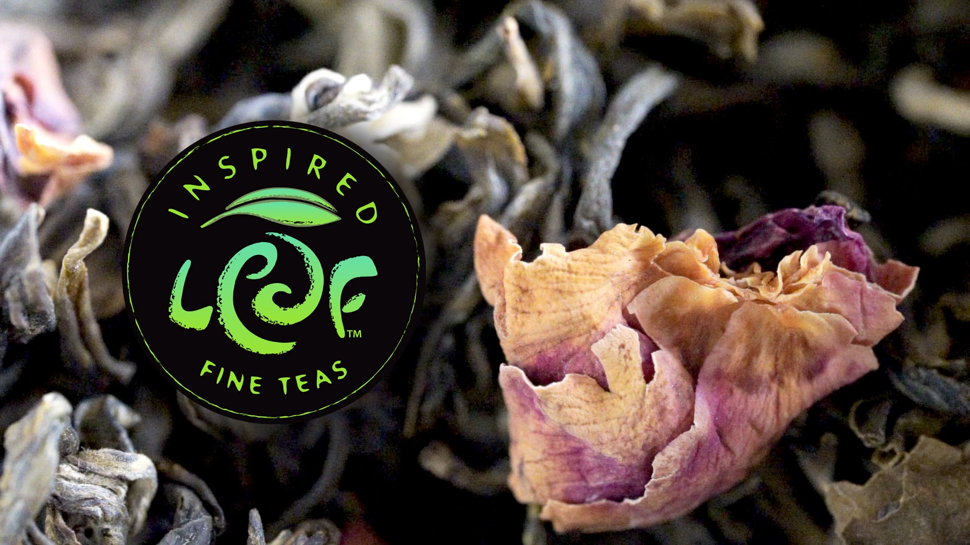 Inspired Leaf Tea Brand Story // 2020