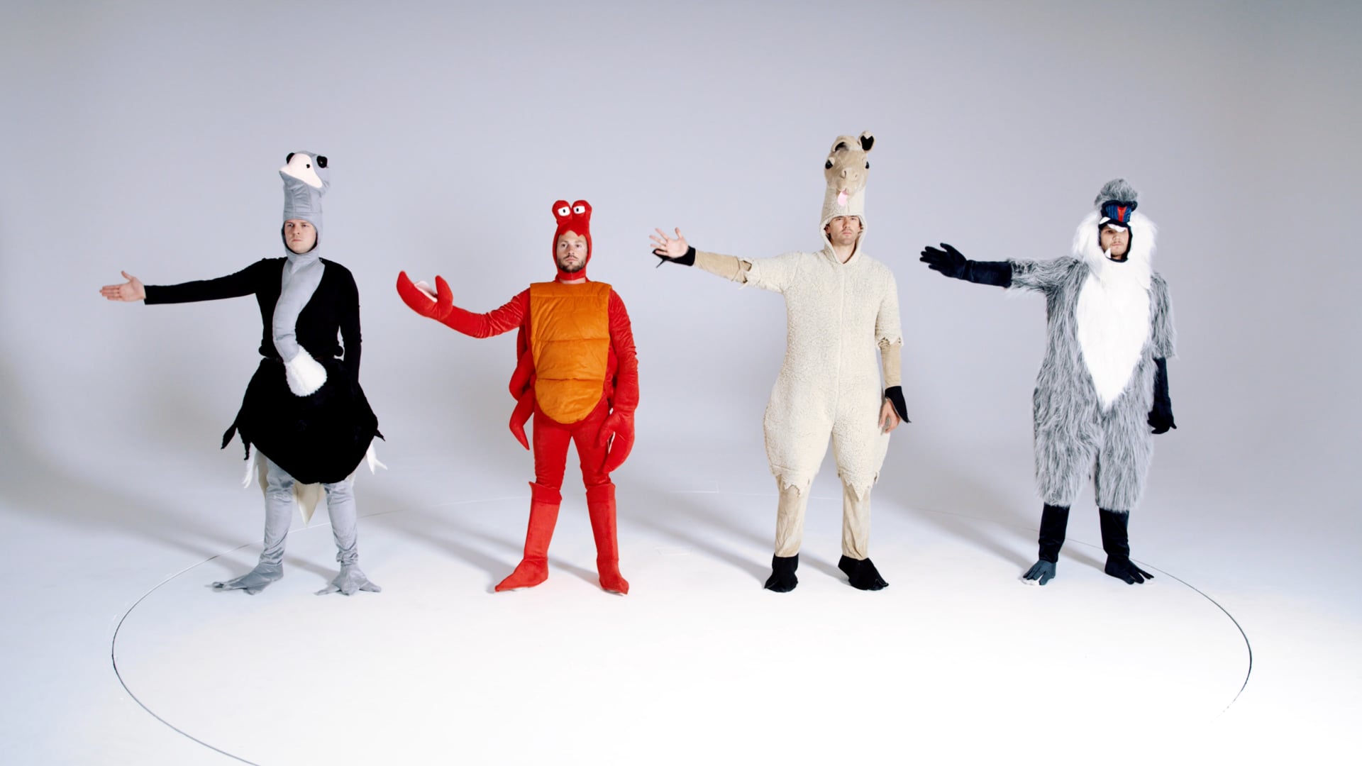 Lawson - Animals (Official Music Video)