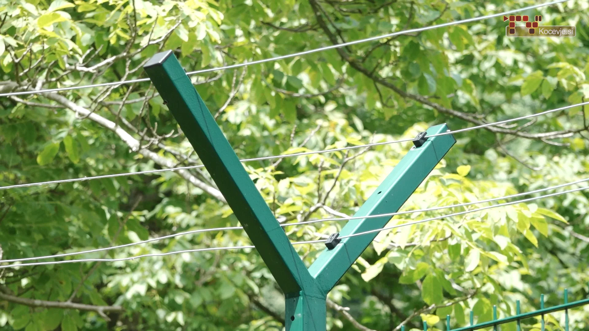 Ograja na Kolpi in živali