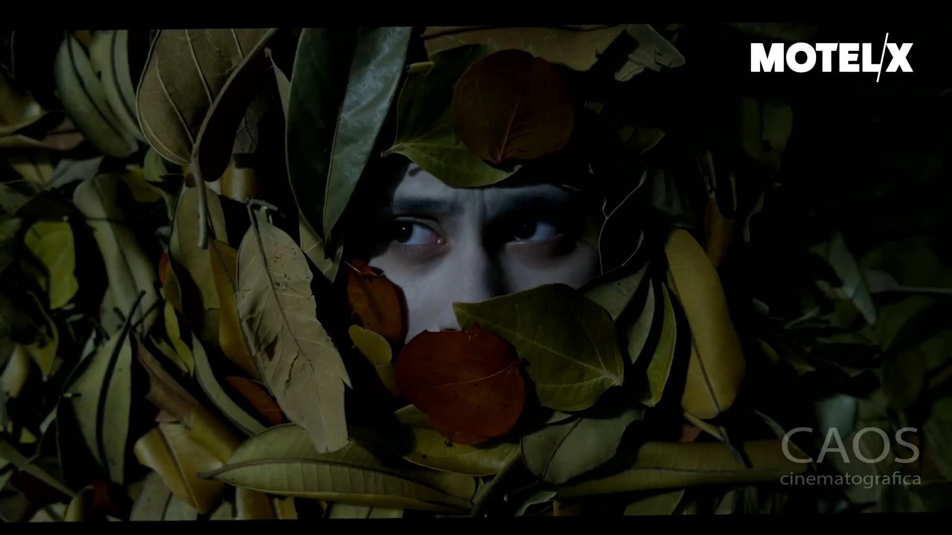 Que Monstro Te Mordeu - Trailer