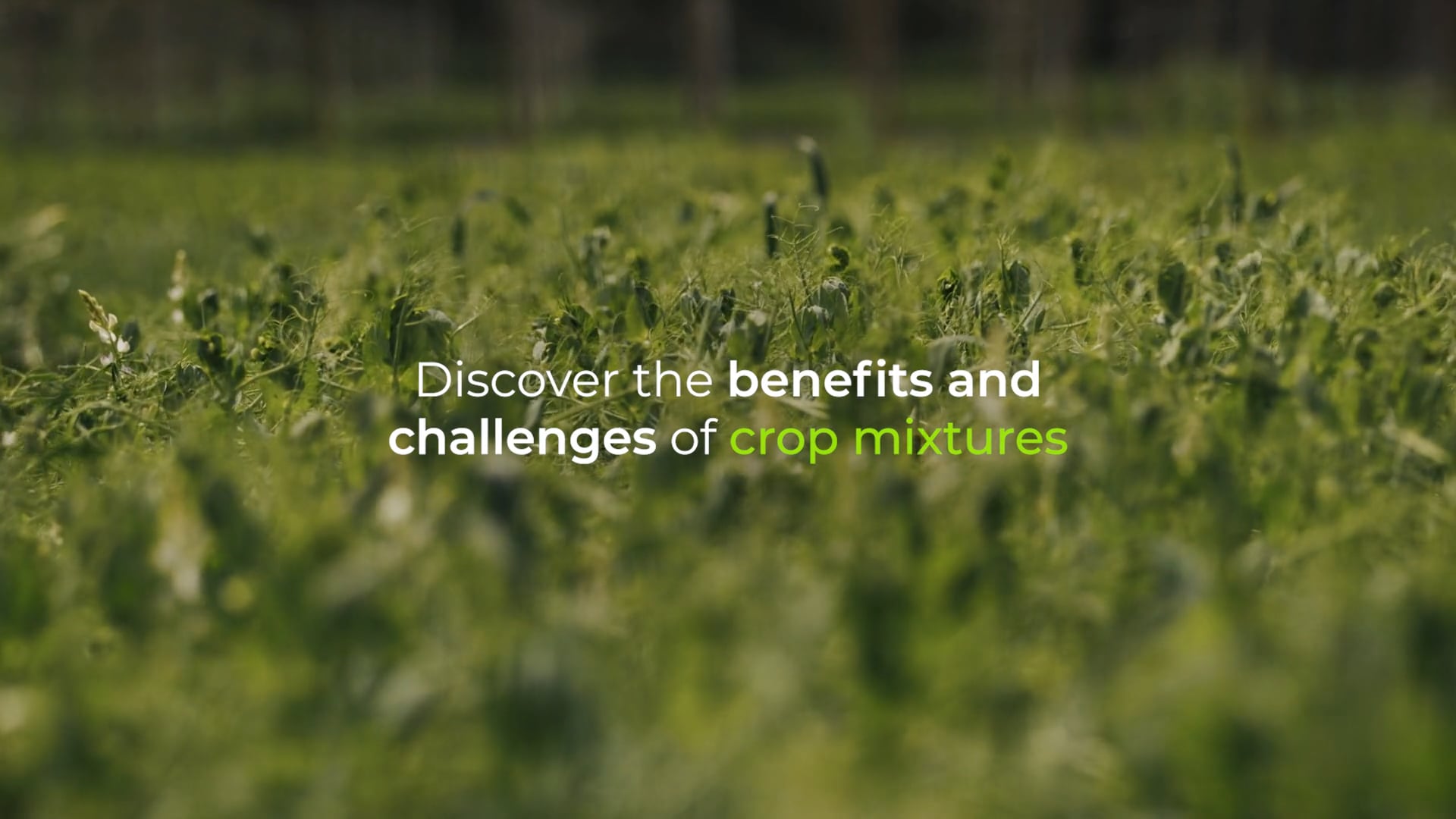GROWING BEYOND MONOCULTURE - Web Series Trailer
