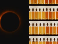 TV AD - Louis XIII Cognac