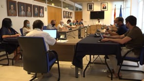 Projecte d'un aeròdrom a l'Escala