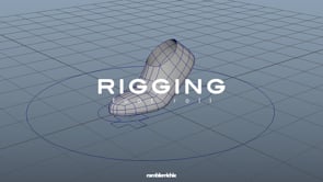 Rigging Experiment