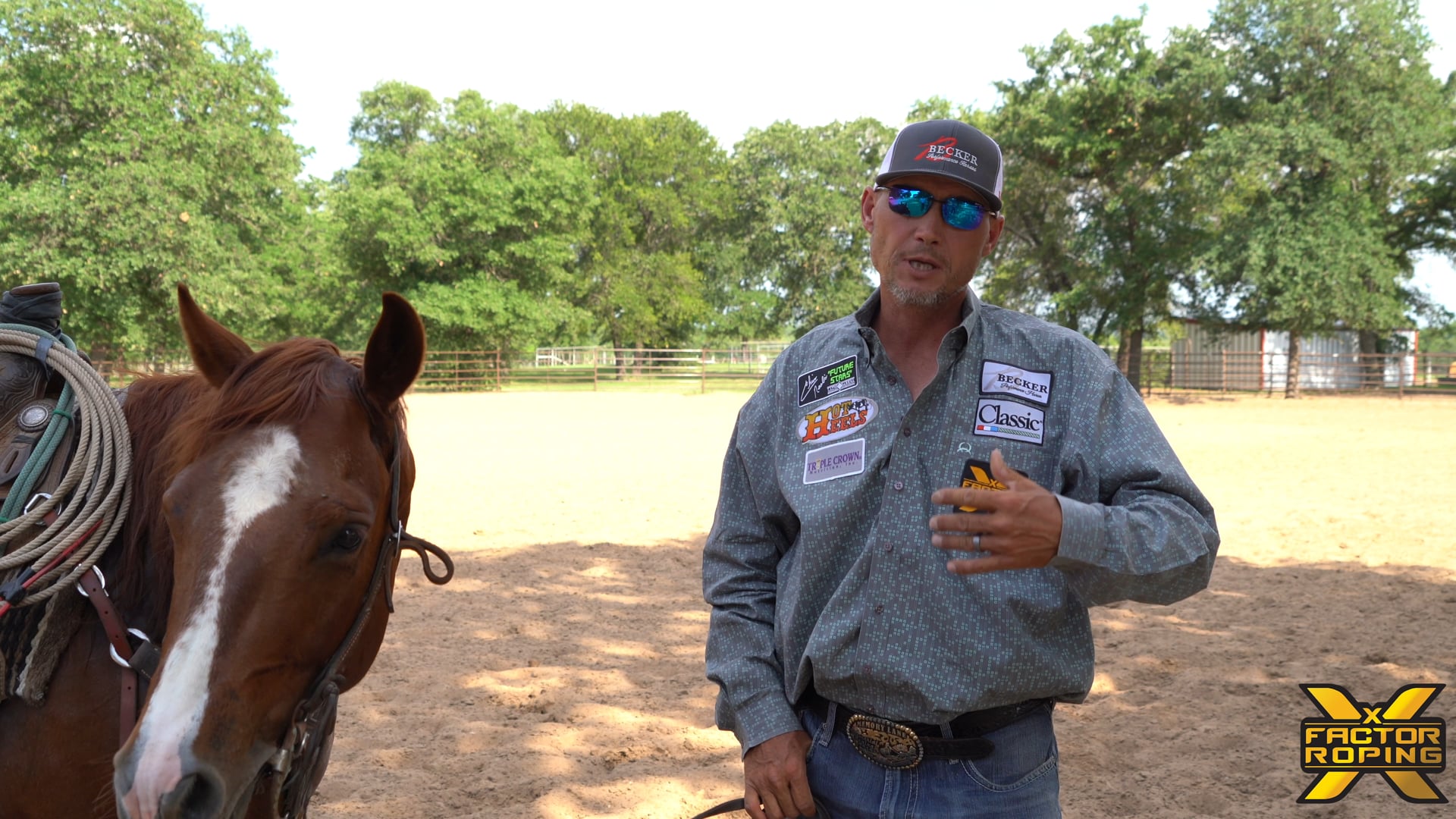 FREE Keys to Keeping Your Horse Relaxed In The Box with Marty Becker