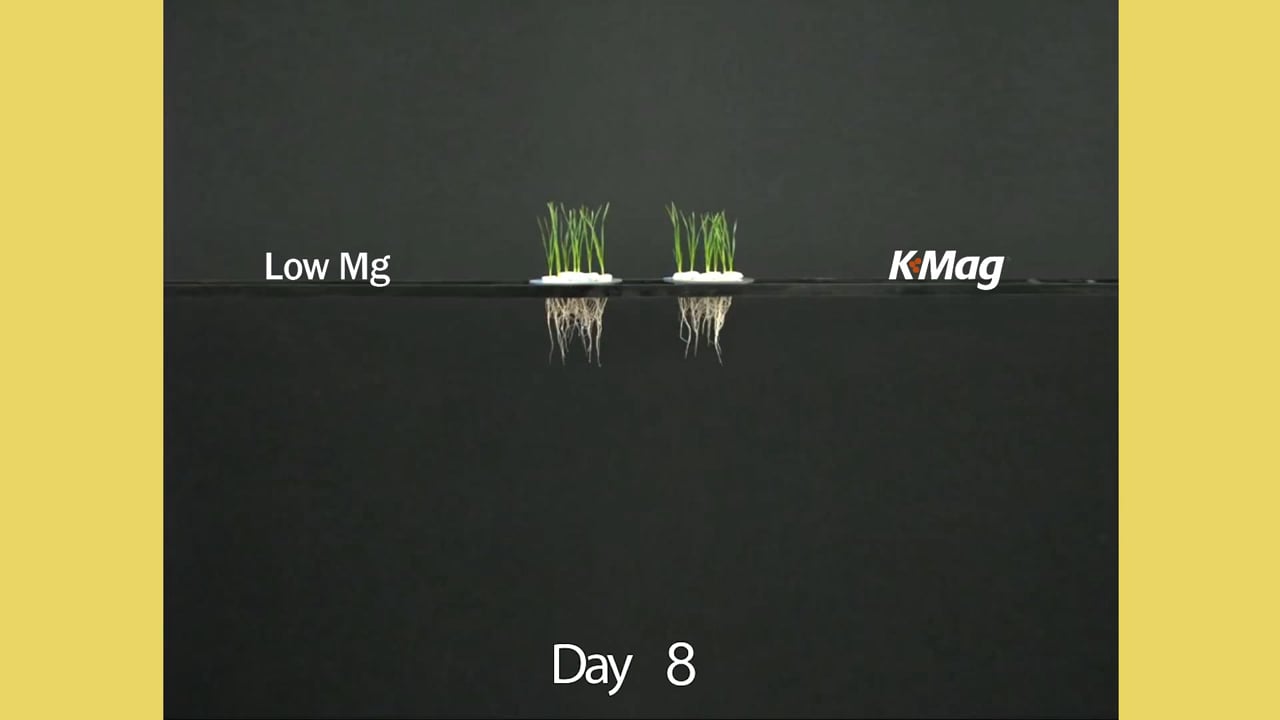 k-mag-fertilizer-time-lapse-video-on-vimeo