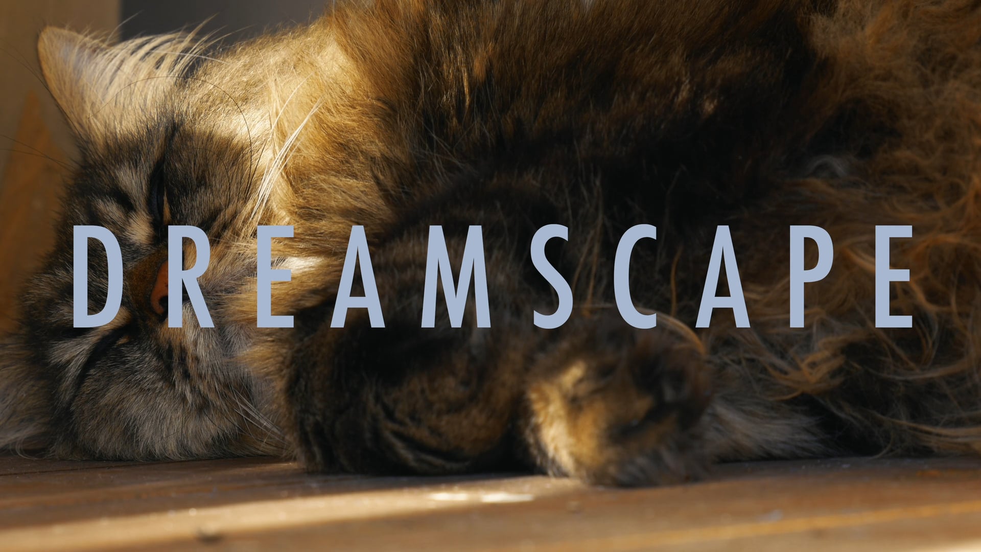Dreamscape