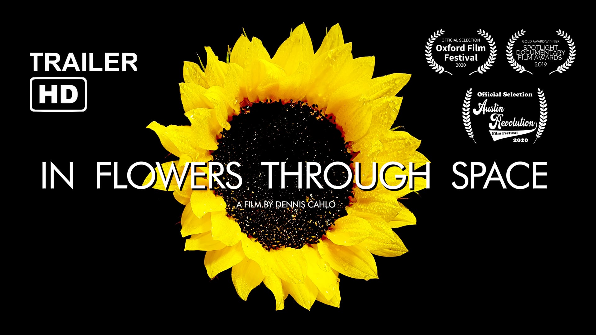 In Flowers Through Space - Official Trailer