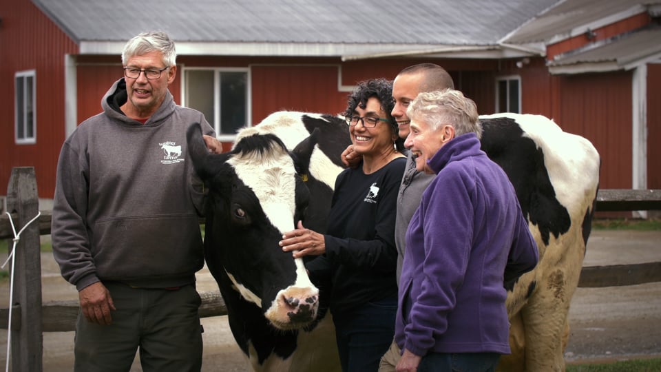 Price Chopper/Market32 || Wagner Farms || Tour Video