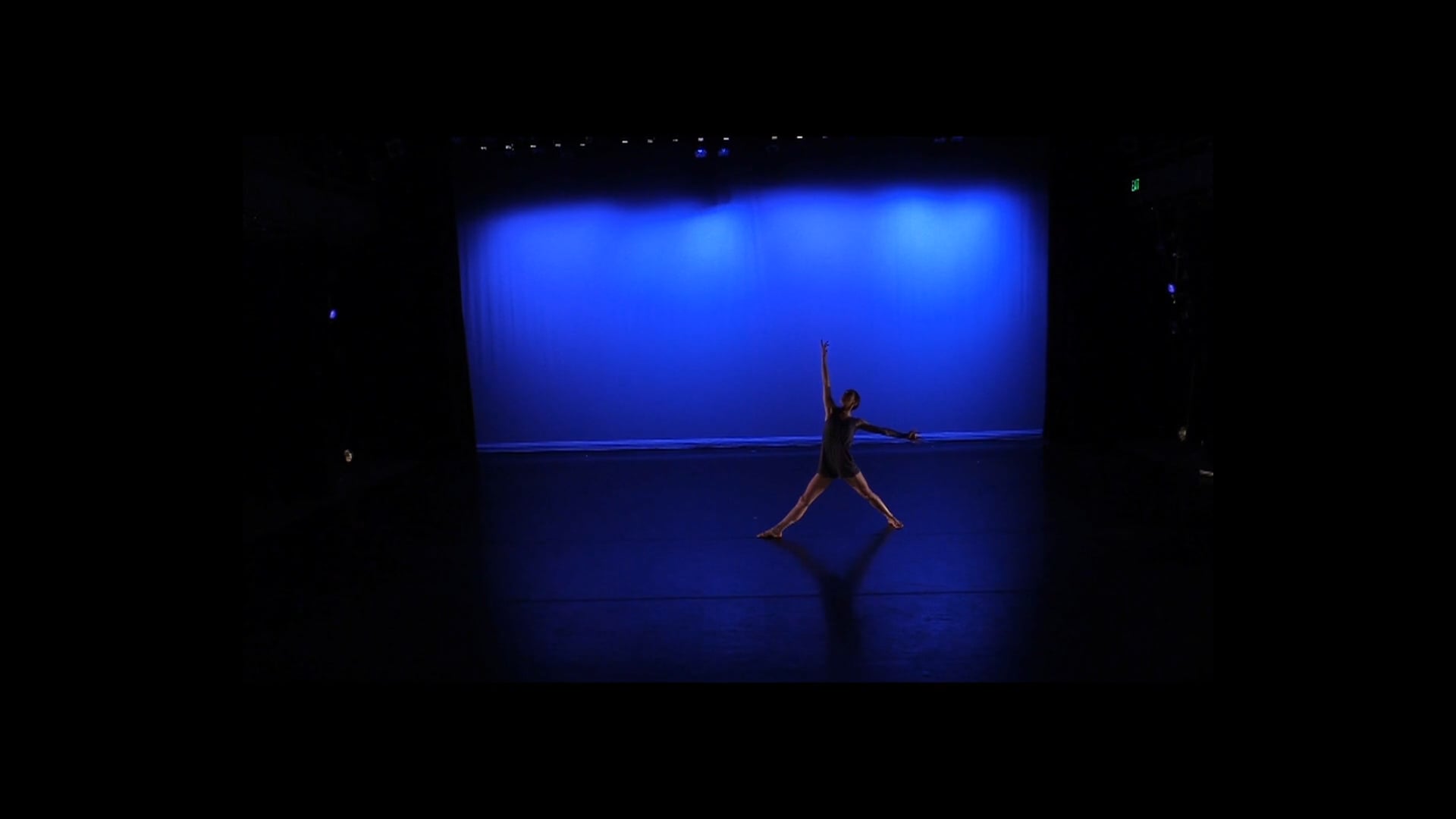 Performance Reel
