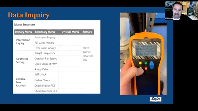 DLS Remote Debugger - Data Inquiry (17 of 22)