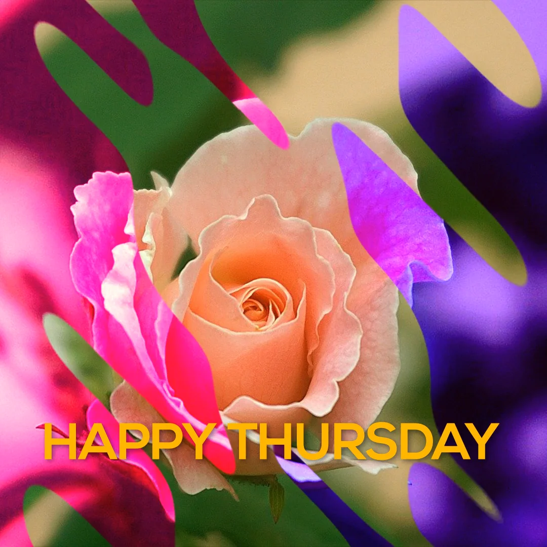 How are you doing today? #HappyThursday